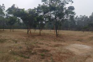 Tanah Dekat Apartemen Ayodhya, Cikokol, Tangerang